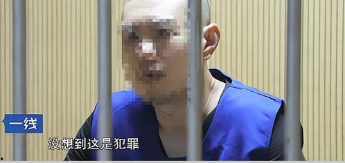 文轩被抓爆料视频,揭秘背后真相与网络热议